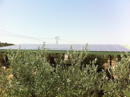 Putignano (Bari) - Azienda agricola - Impianto Fotovoltaico da 13,80 kWp