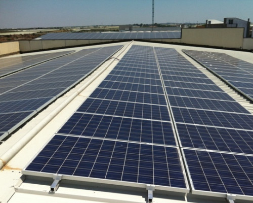 Rutigliano (Bari) - Azienda di import-export di prodotti orofrutticoli - Impianto Fotovoltaico da 50,00 kWp