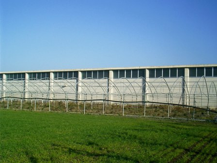 Rignano Garganico (Foggia) - Azienda agroalimentare - Impianto Fotovoltaico da 44,0 kWp