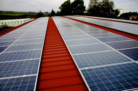 Laterza (Taranto) - Azienda Agricola - Impianto Fotovoltaico da 72,45 kWp