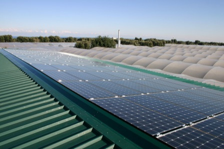 Fasano (Brindisi) - Azienda Agricola - Impianto Fovoltaico da 29,532 kWp