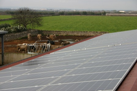Casamassima (Bari) - Azienda Agricola - Impianto Fotovoltaico da 19,32 kWp