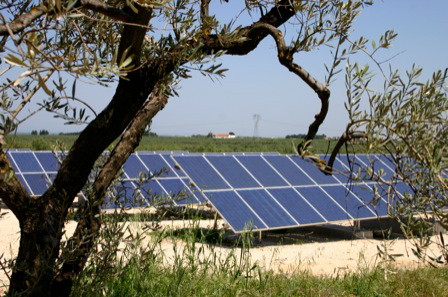 Bitonto -  Mariotto (Bari) - Azienda agricola - Impianto Fotovoltaico da 349,60 kWp