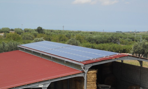 Turi (Bari) - Azienda agricola - Impianto Fotovoltaico da 19,32 kWp