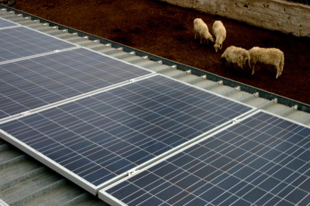 Castellana Grotte (Bari) - Azienda agricola - Impianto Fotovoltaico da 12,88 kWp